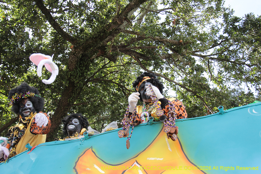 Zulu-SAPC-2026-11503