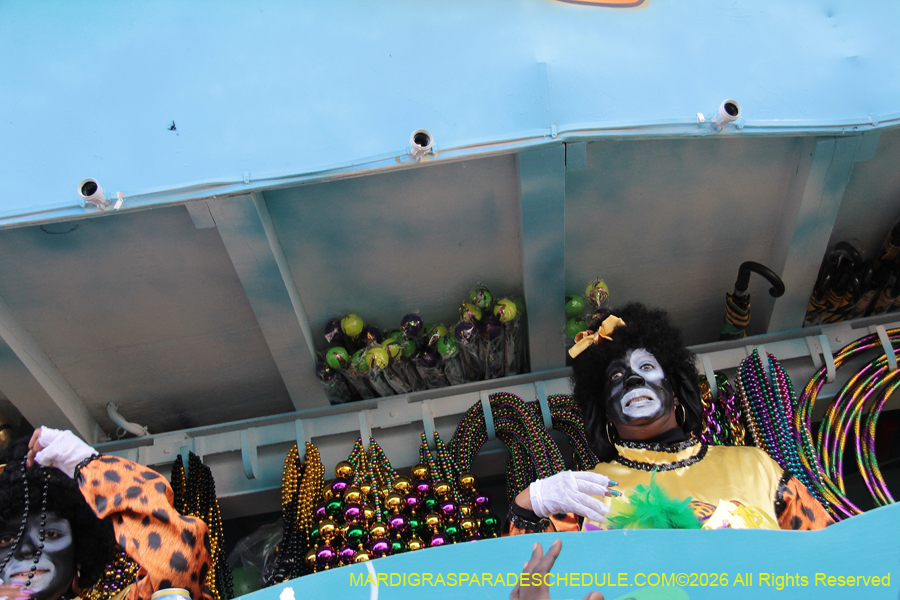 Zulu-SAPC-2026-11504