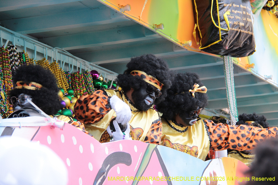 Zulu-SAPC-2026-11510