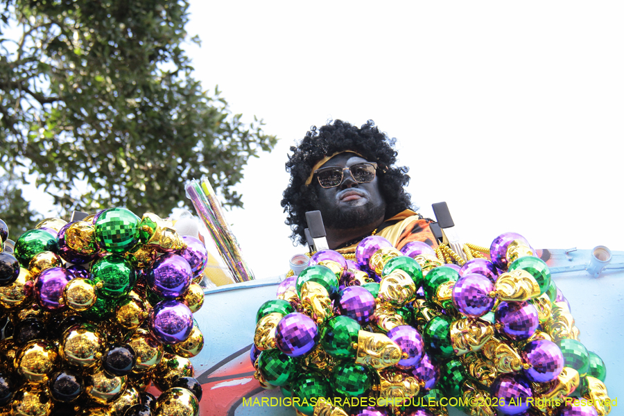 Zulu-SAPC-2026-11513