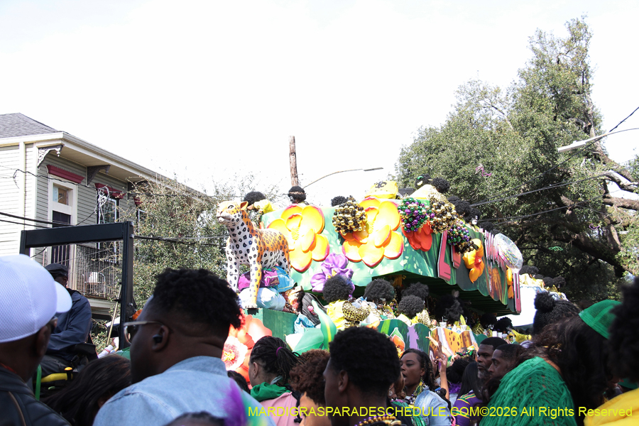 Zulu-SAPC-2026-11525