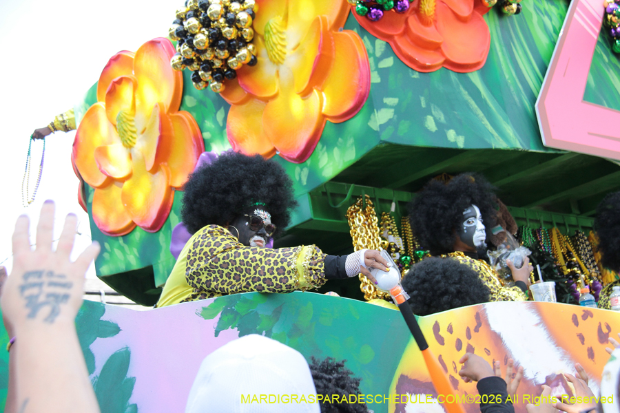 Zulu-SAPC-2026-11529