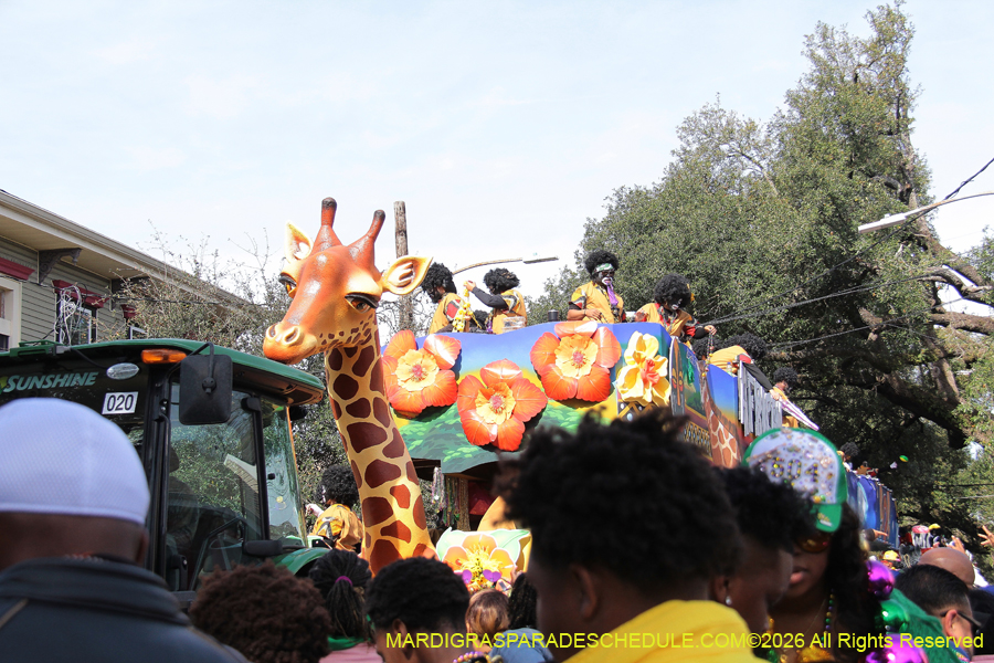 Zulu-SAPC-2026-11545