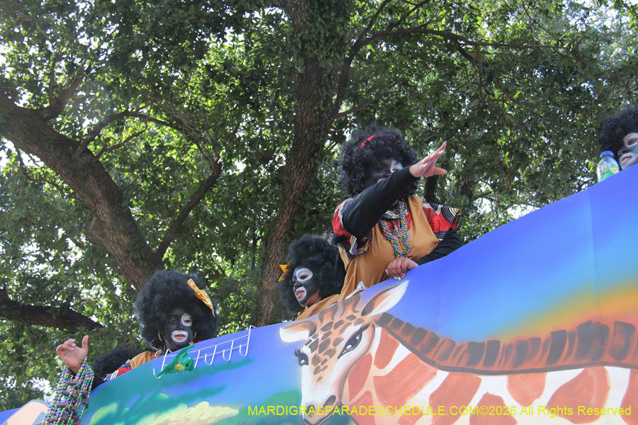 Zulu-SAPC-2026-11549