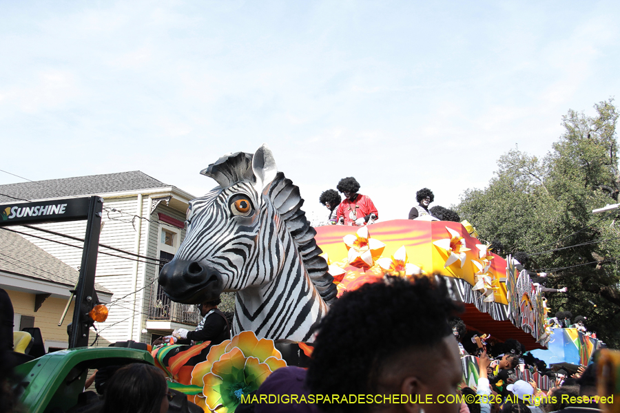 Zulu-SAPC-2026-11559