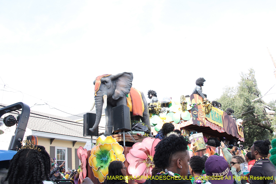 Zulu-SAPC-2026-11579