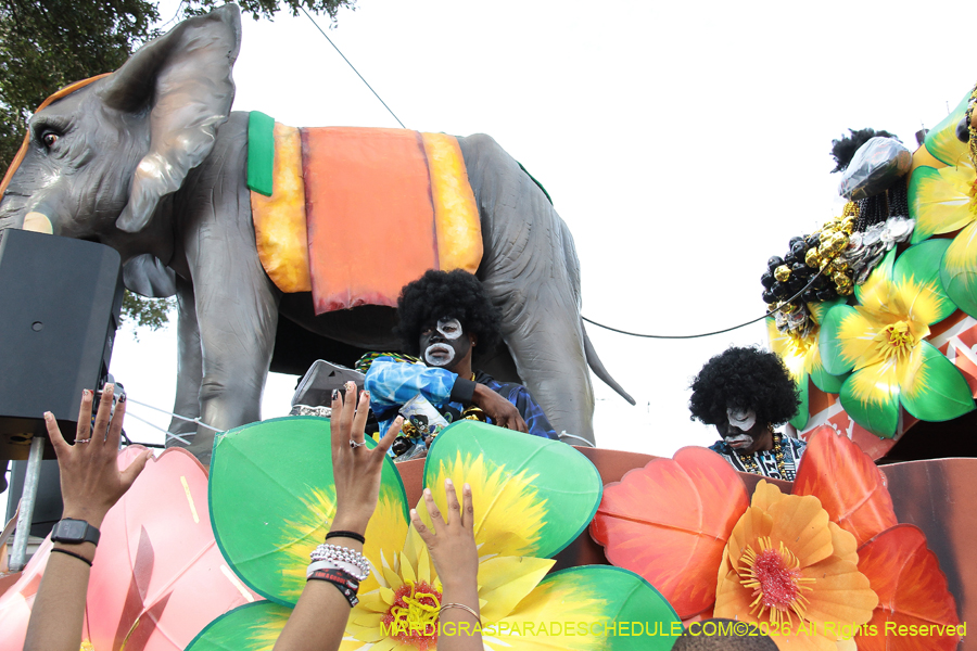 Zulu-SAPC-2026-11581