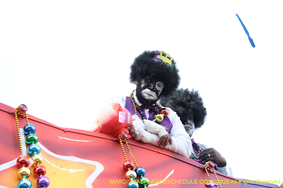 Zulu-SAPC-2026-11597