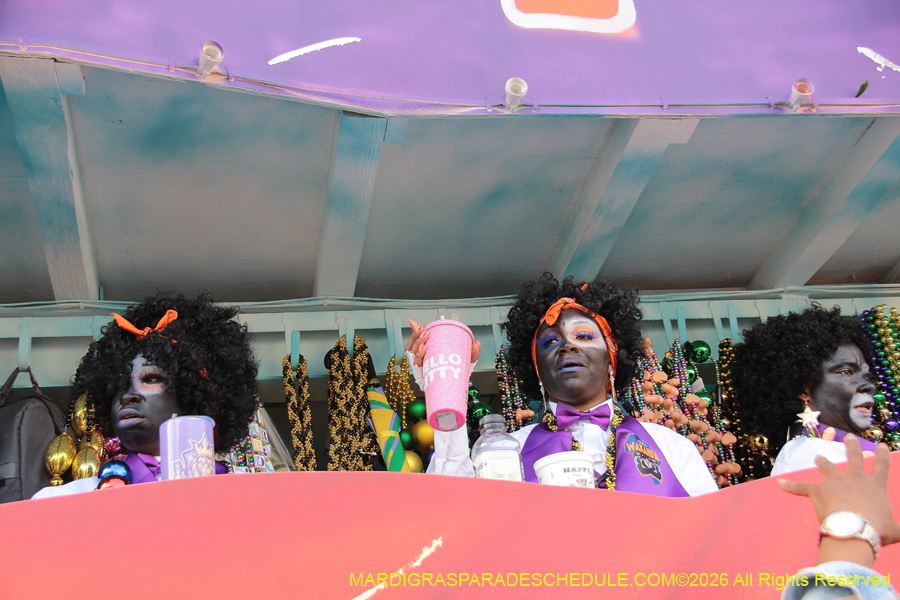 Zulu-SAPC-2026-11601