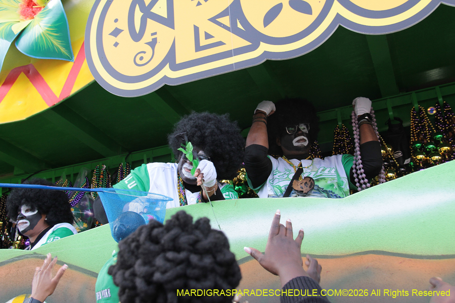 Zulu-SAPC-2026-11613