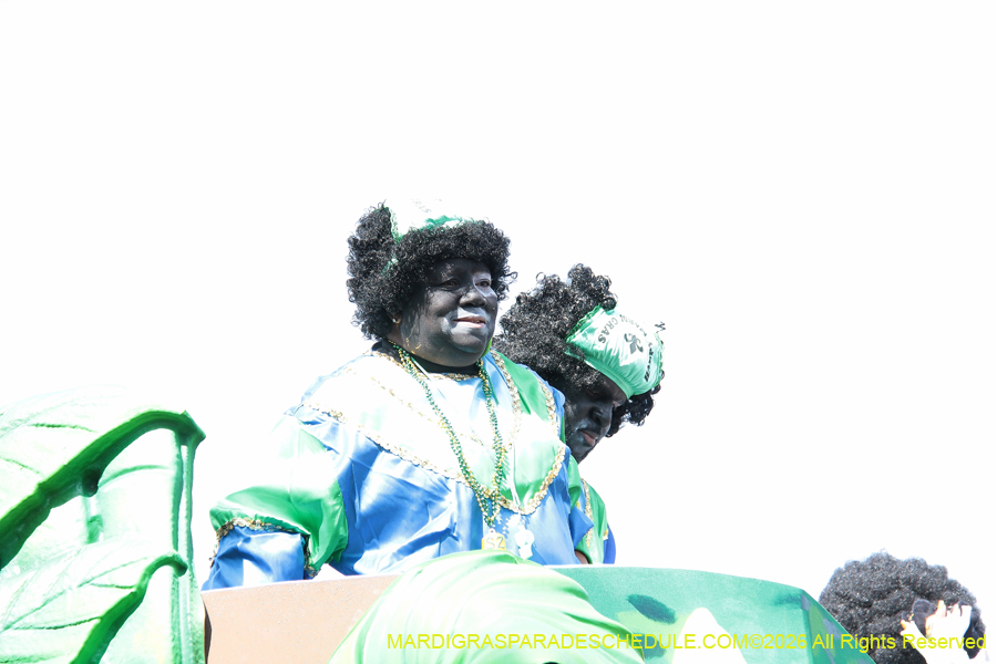 Zulu-SAPC-2026-11628