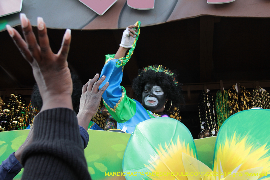 Zulu-SAPC-2026-11636