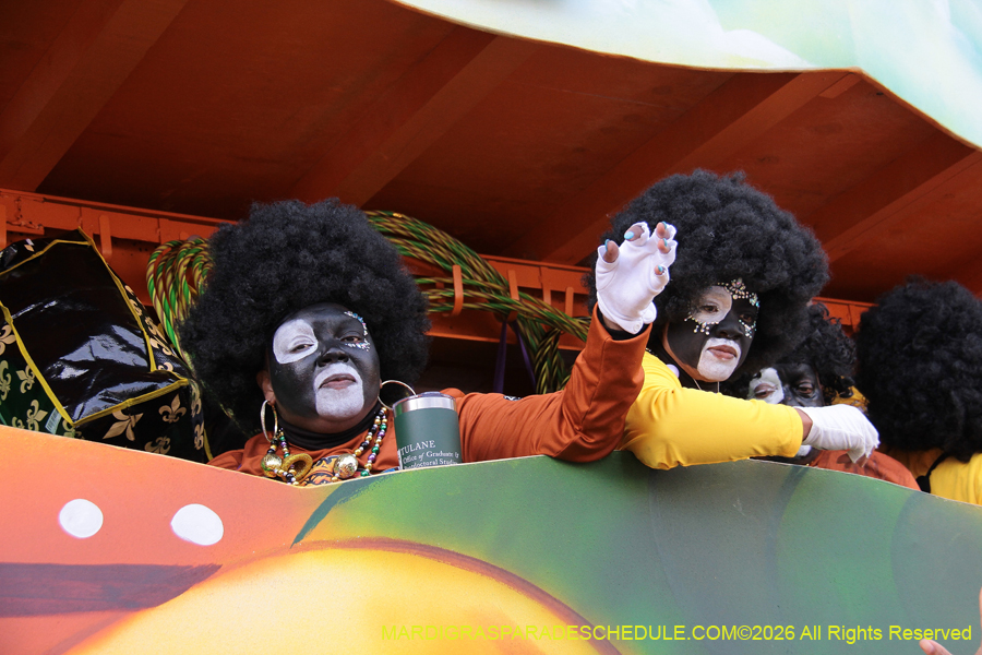 Zulu-SAPC-2026-11655