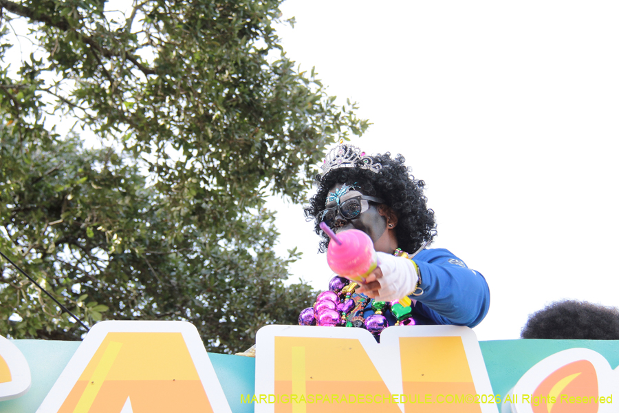 Zulu-SAPC-2026-11656