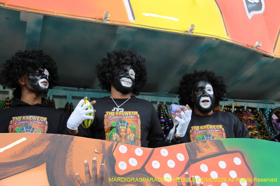 Zulu-SAPC-2026-11689