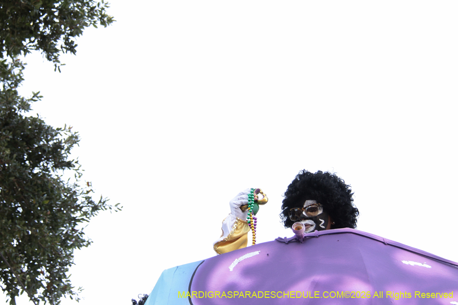 Zulu-SAPC-2026-11709