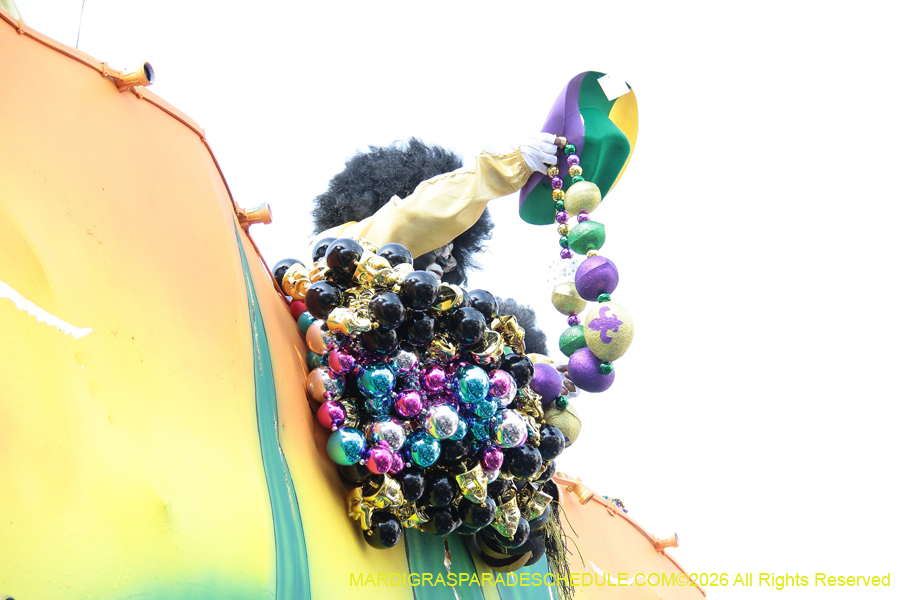 Zulu-SAPC-2026-11724