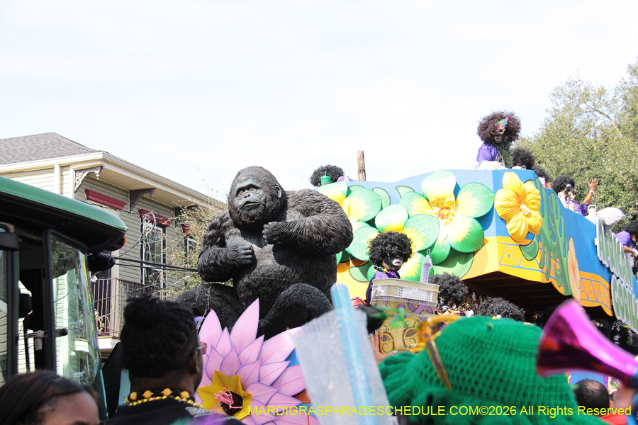 Zulu-SAPC-2026-11758