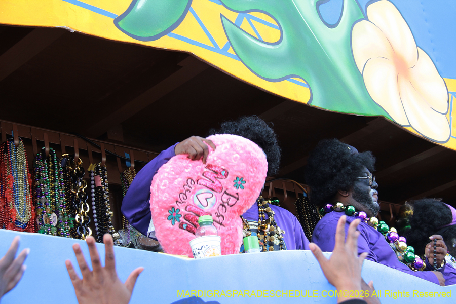 Zulu-SAPC-2026-11761