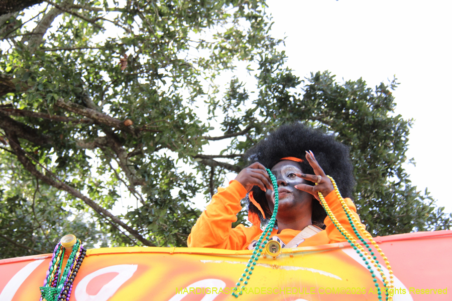 Zulu-SAPC-2026-11785