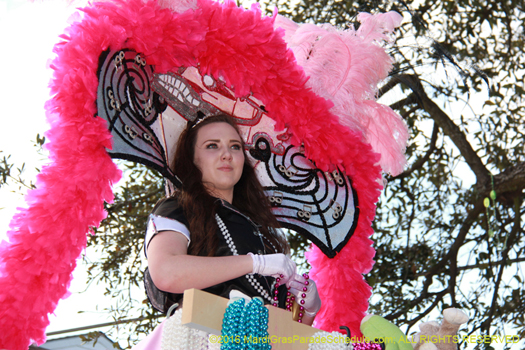 Former westbank Krewe of Alla no rolls the streets of New Orleans - photo by Jules Richard