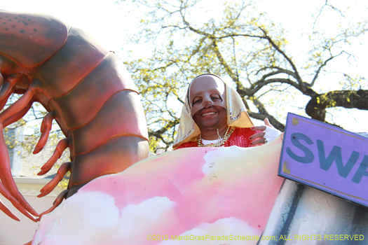 Happy Mardi Gras - photo by Jules Richard