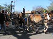 Knights-of-Babylon-2010-New-Orleans-Carnival-0268