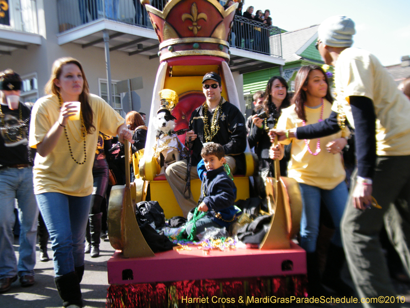 Mystic-Krewe-of-Barkus-2010-HC-Dog-Parade-Mardi-Gras-New-Orleans-8221