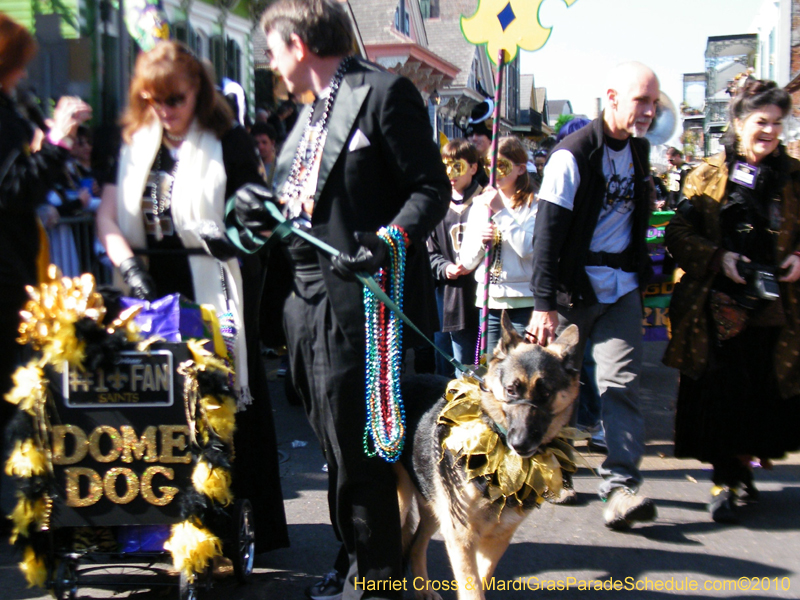 Mystic-Krewe-of-Barkus-2010-HC-Dog-Parade-Mardi-Gras-New-Orleans-8276