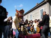 Mystic-Krewe-of-Barkus-2010-HC-Dog-Parade-Mardi-Gras-New-Orleans-8210
