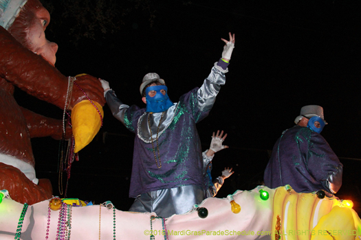 Rider in the Krewe of Bacchus - photo by Jules Richard