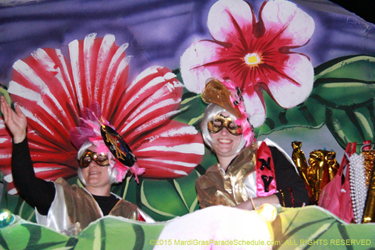 Zest and excitement during the Krewe of Nyx parade - photo by Jules Richard