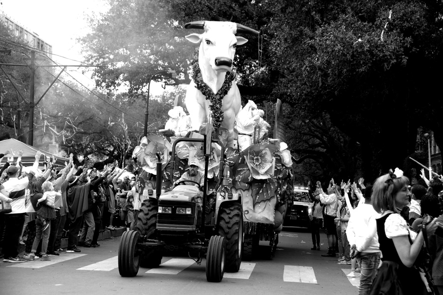 Mardi Gras Parade Schedule New Orleans